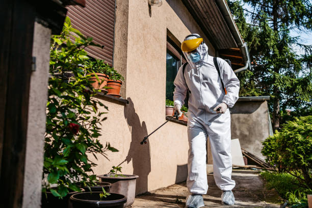 Best Emergency Pest Control  in Jasper, TN