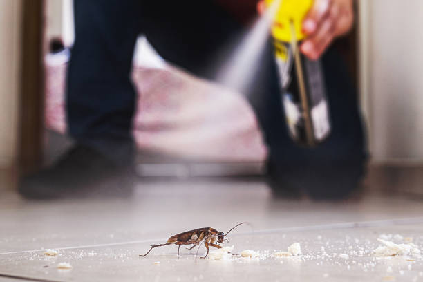 Pest Prevention Services in Jasper, TN
